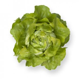 Salad SANTORO