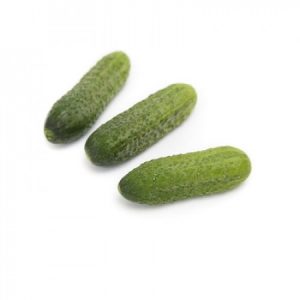 Gherkin SOUND F1