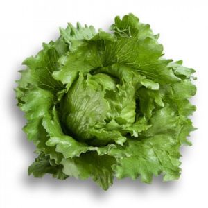 Σαλάτα UMBRINAS - 0