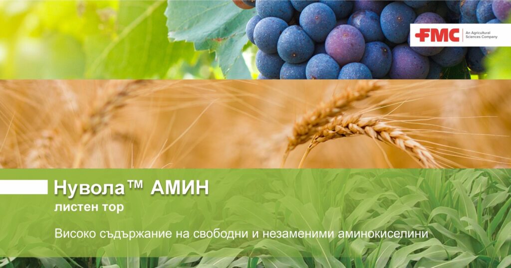 Нувола™ АМИН / NUVOLA® AMIN