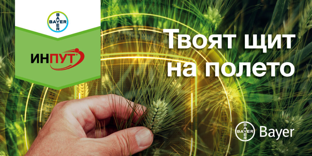 Инпут® / Input®